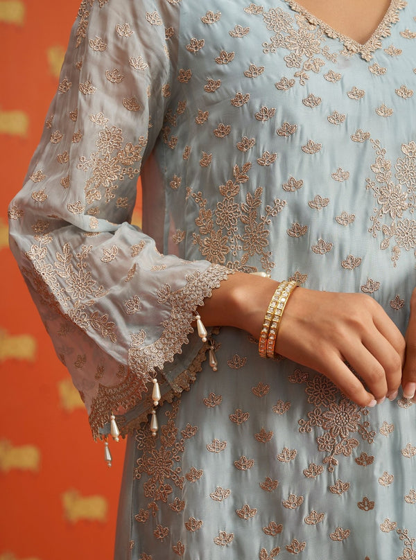Suwanni Organza Light Blue Kurta Set