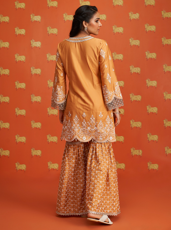 Aree Pima Satin Orange Kurta Set