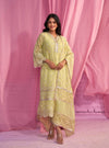 Aulia Organza Lime Green Kurta Set