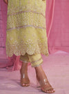 Aulia Organza Lime Green Kurta Set