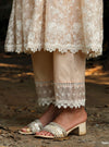 Neesa Organza Beige Anarkali Kurta Set