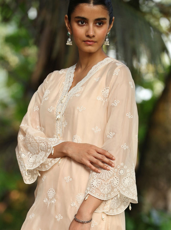 Kiyan Organza Beige Kurta Set