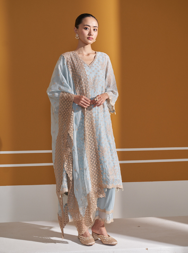 Suwanni Organza Light Blue Kurta Set